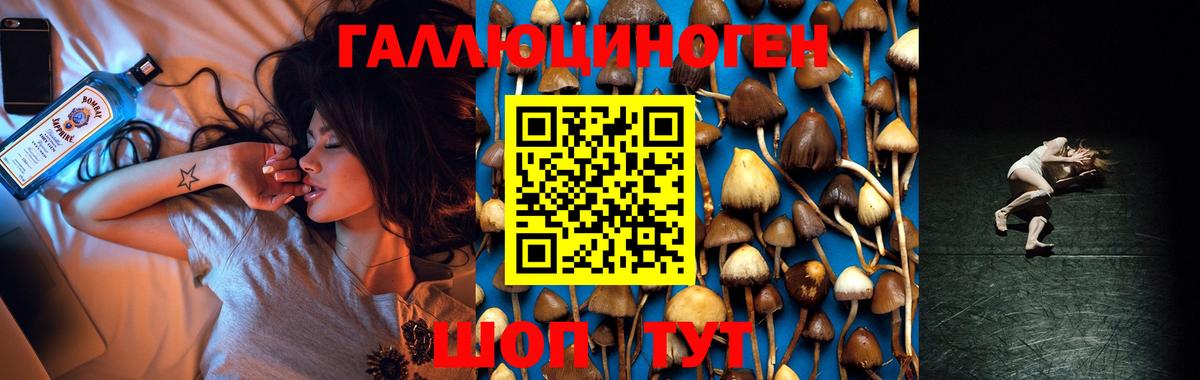 Псилоцибиновые грибы GOLDEN TEACHER Ростов-на-Дону