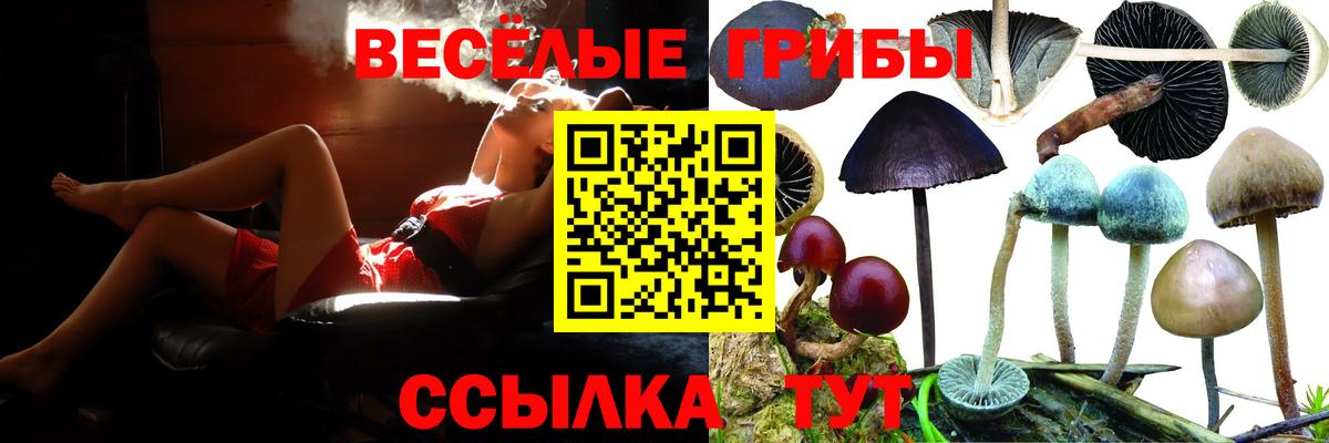 Галлюциногенные грибы Magic Shrooms  магазин продажи наркотиков  Ростов-на-Дону  Вход с VPN 