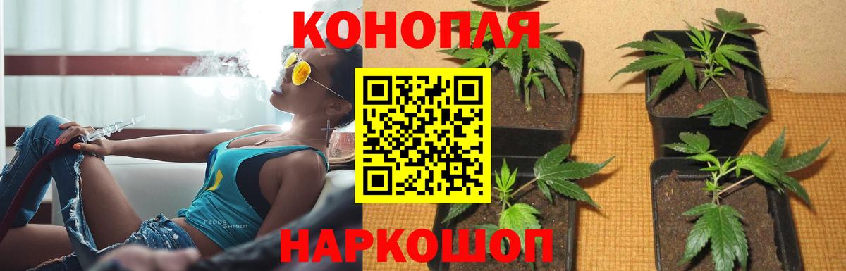 Бошки Шишки MAZAR  Канабис AK-47  Вход с VPN  Марихуана LSD WEED  Ростов-на-Дону 